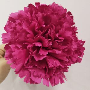 Clavel Flamenca Buganvilla