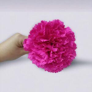 Clavel Flamenca Rosa Fucsia