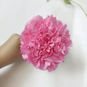 Clavel Flamenca Rosa Pastel