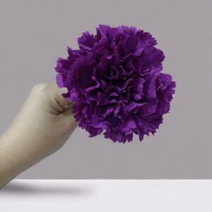 Clavel Flamenca Morado