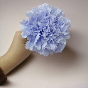 Clavel Flamenca Azul Celeste