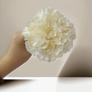 Clavel Flamenca Crema/Beige