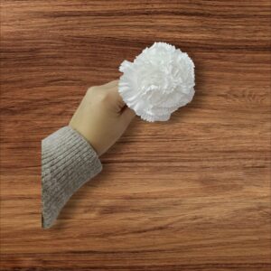 Clavel Pequeño Flamenca Blanco