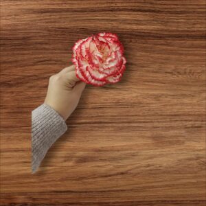 Clavel Pequeño Flamenca Beige Rojo