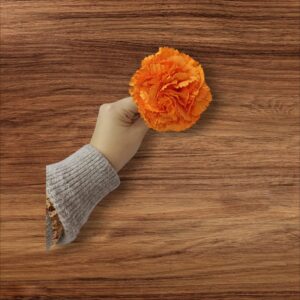 Clavel Pequeño Flamenca Naranja