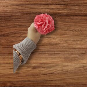 Clavel Pequeño Flamenca Coral