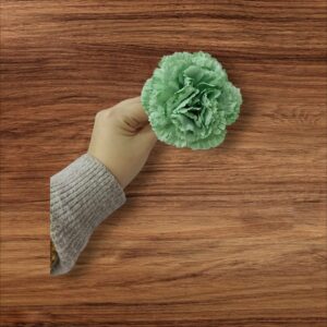 Clavel Pequeño Flamenca Verde Hoja