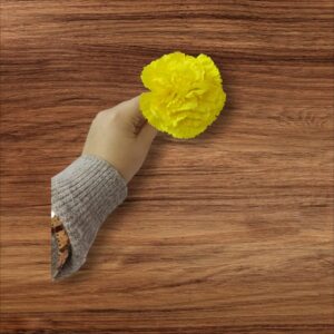 Clavel Pequeño Flamenca Amarillo