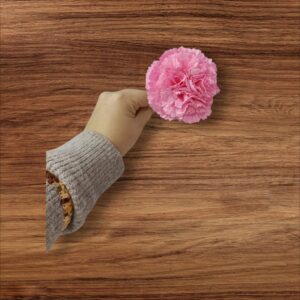 Clavel Pequeño Flamenca Rosa Bebé