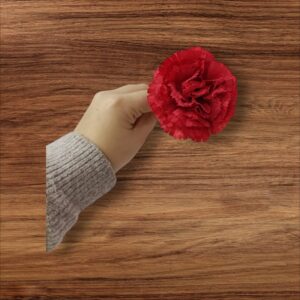 Clavel Pequeño Flamenca Rojo