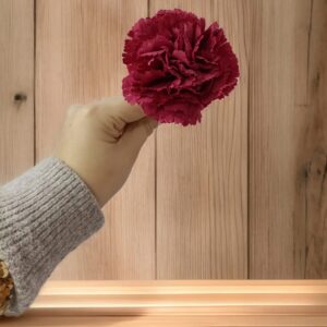 Clavel Pequeño Flamenca Burdeos