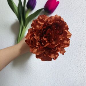 Peonía de Flamenca Grande Terracota