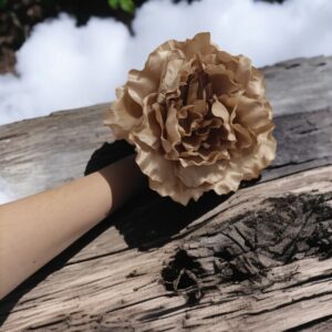Peonía de Flamenca Grande Marrón Pastel