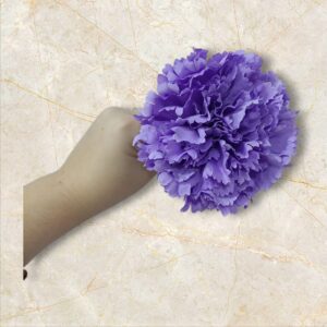 Clavel Flamenca Lila