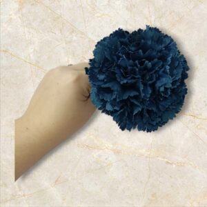 Clavel Flamenca Azul Petróleo