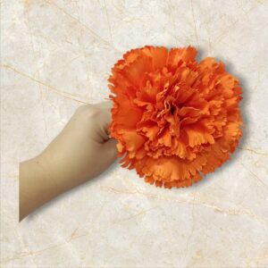 Clavel Flamenca Naranja