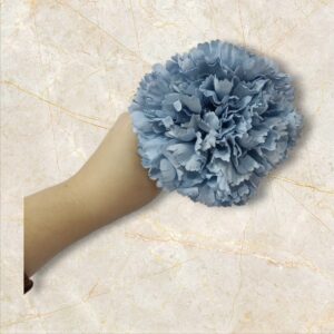 Clavel Flamenca Azul Grisáceo