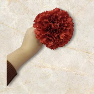 Clavel Flamenca Terracota