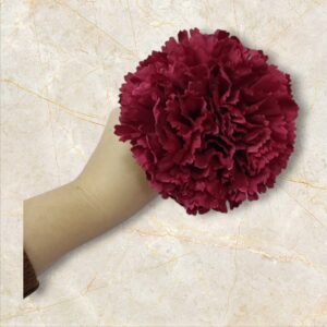 Clavel Flamenca Burdeos