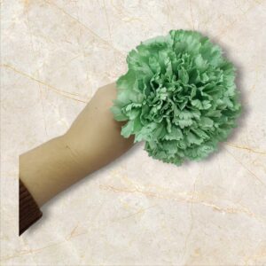 Clavel Flamenca Verde Pastel