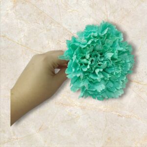 Clavel Flamenca Verde Agua