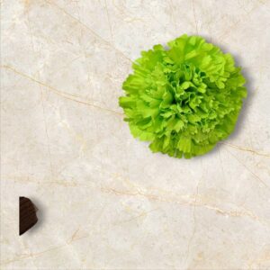 Clavel Flamenca Verde Lima