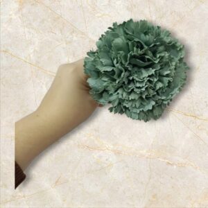 Clavel Flamenca Verde Jabonoso