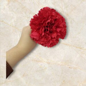 Clavel Flamenca Rojo