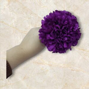Clavel Flamenca Violeta
