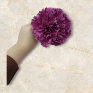 Clavel Flamenca Malva