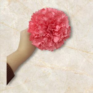 Clavel Flamenca Rosa Coral