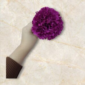 Clavel Flamenca Buganvilla Oscuro