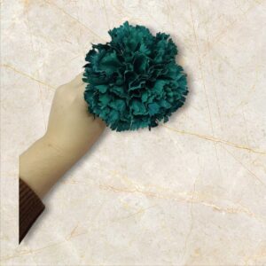 Clavel Flamenca Verde Botella