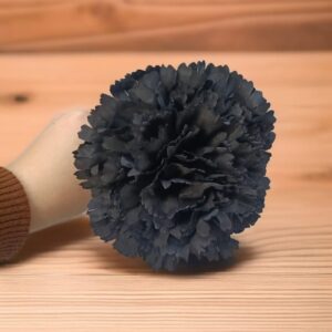 Clavel Flamenca Negro