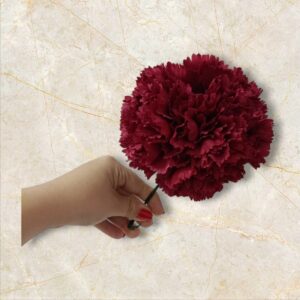 Ramillete de Claveles Burdeos para Flamenca