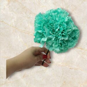 Ramillete de Claveles Turquesa - Verde Agua para Flamenca