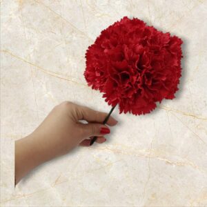 Ramillete de Claveles Rojo para Flamenca