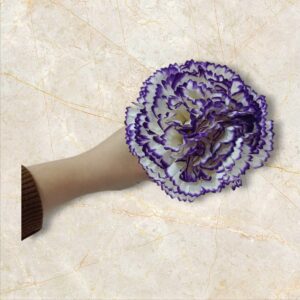 Clavel Flamenca Beige - Morado