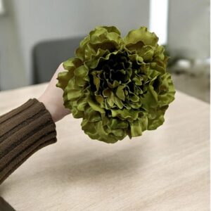 Peonía de Flamenca Grande Verde Oliva